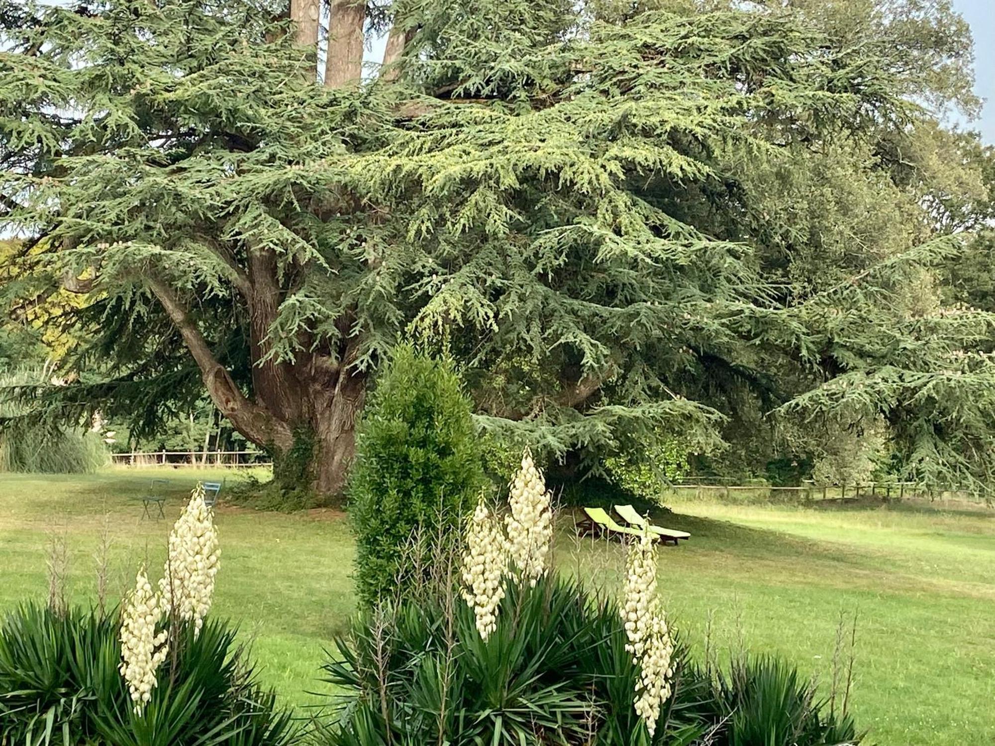 Chateau La Bainerie Tierce Εξωτερικό φωτογραφία